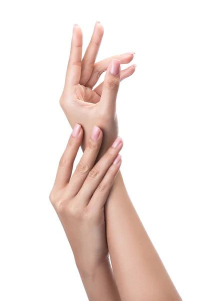 Beautiful female hands with french manicure — Stock Image Beautiful female hands with french manicure Royalty Free Stock Images