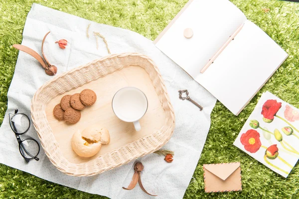 Piknik na louce, v nichž odpočinku na dovolené — Stock fotografie