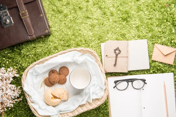 Picknick instellen op weide, ontspannen op vakantie — Stockfoto