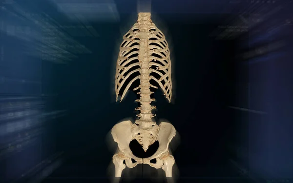 CT SCAN of Whole spine 3d rendering isolated on blurred monitor background. — Stock Image Scan Whole Spine Rendering Isolated Blurred Monitor Background Royalty Free Stock Photos