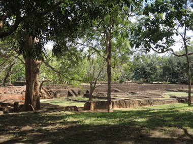 Sigiriya Park'ta Sarayı