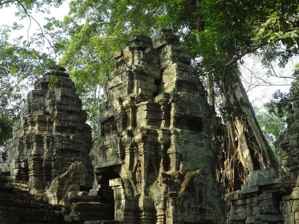 Ta Prohm — Stock Photo, Image