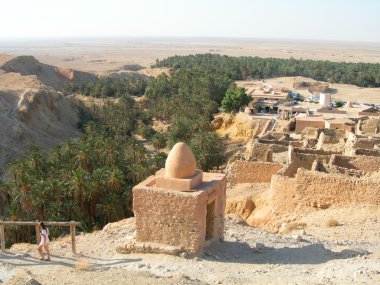 Oasis Shebika