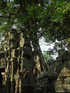 Ta Prohm