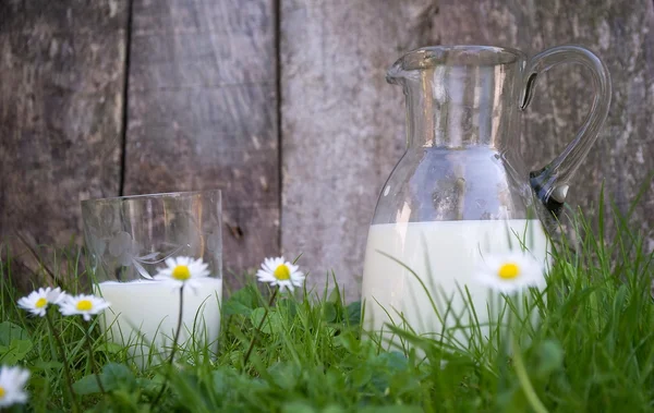 Leche fresca de vaca Imágenes de stock libres de derechos