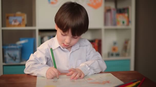 Small Boy Paints at the Table — Stock Video