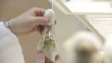 Laboratuar asistanı Test tüpleri kez