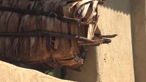 Včelařství Tradičním Proutěným Košíkem Přihlásit Skep Beehive Ekologický Včelařský Pevný — Stock video