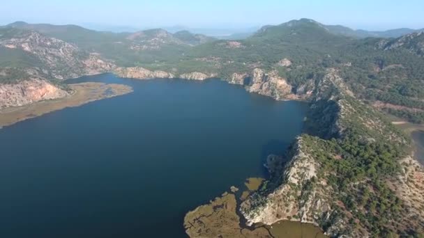 Delta Marais Terres Humides Lac Marais Près Plaine Arrière Plan — Video