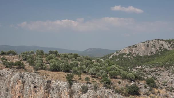 Olivos Sobre Las Montañas Geografía Mediterránea Olivar Pequeño Grupo Árboles — Vídeos de Stock