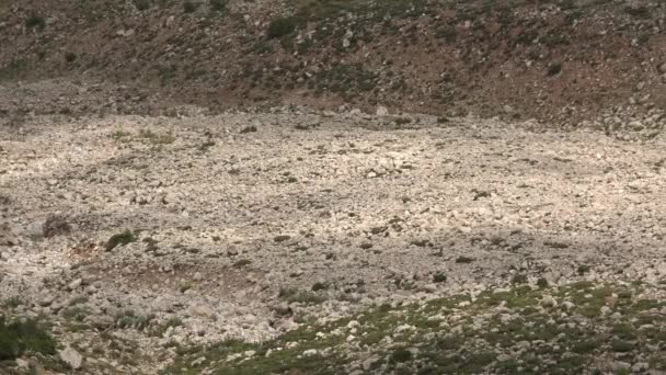 Gedroogde Bedding Kleine Droge Natuurlijke Kanalen Gevormd Door Tijdelijke Waterstromen — Stockvideo