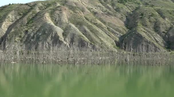 Garza Gris Ramas Secas Árboles Sin Hojas Agua Del Lago — Vídeos de Stock