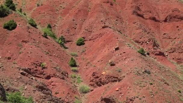山地土壤表面上五彩斑斓的矿脉 山中天然的真正开采矿石 矿石是一种岩石 含有足够的矿物质 其重要元素包括金属景观4K — 图库视频影像