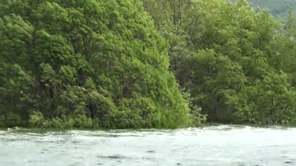 Деревья Потопе Повышением Уровня Воды Наводнение Перелив Воды Который Погружает — стоковое видео