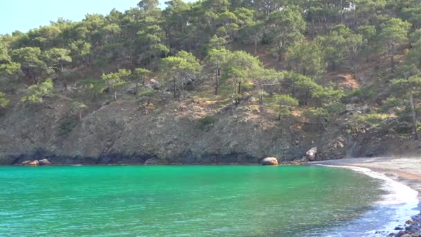 Untouched Cove Forest Enseada Pequeno Tipo Baía Entrada Costeira Enseadas — Vídeo de Stock