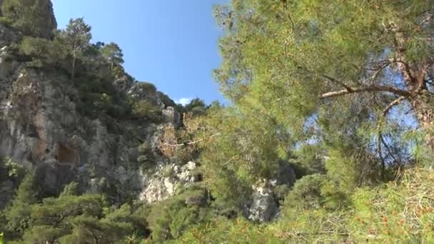 Felsige Flache Bergwand Mit Spärlichen Bäumen Höhenberg Berg Bergiges Gelände — Stockvideo