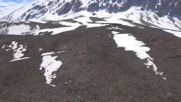 在雪山山脊上 野马在雪地上飞驰而过 自由漫游的野马群 动物环境牧群高山哺乳动物自然夏季真正的山地山地山地山地山地高耸地形无树野生动物 — 图库视频影像