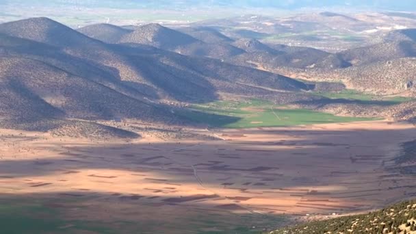 Pendiente Colina Boscosa Consta Árboles Atrofiados Borde Campos Verdes Pendiente — Vídeo de stock