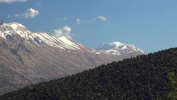 Cordilleras Sucesivas Borde Del Bosque Verde Paisaje Con Siluetas Líneas — Vídeos de Stock