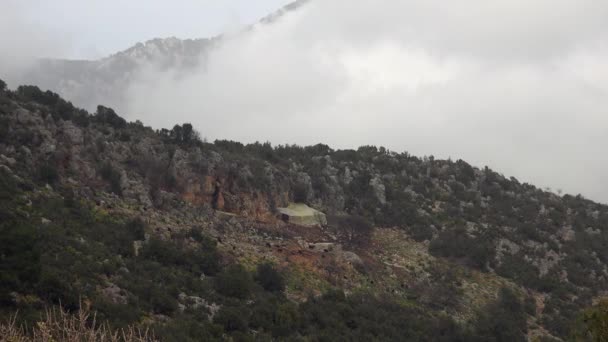 Традиционная Коза Forested Mountain Ручка Вольер Содержания Животных Таких Львы — стоковое видео