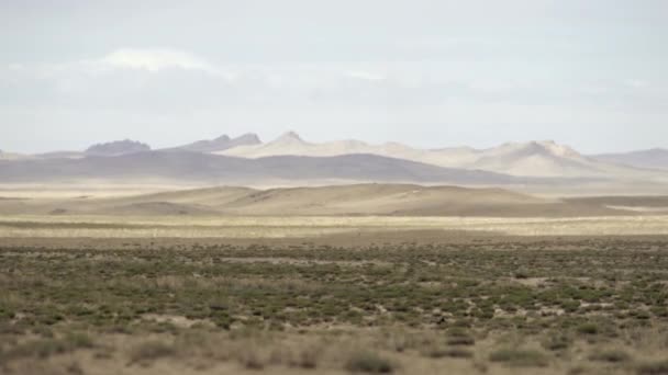 熱放射の下でゴビ砂漠の広大なバレン土壌 広範囲な無限強度Kyzylkum Taklamkan Karakum土地 疎な汚染土壌大規模なアジア中国モンゴル地上4K — ストック動画