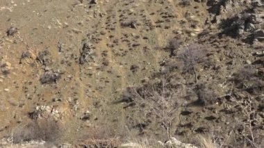 Darbe krateri bir depresyondur. Kaldera, volkanik bir patlamada magma haznesinin boşaltılmasından kısa bir süre sonra oluşan büyük bir oyuktur. Maar, bir freatomagmatiğin sebep olduğu geniş ve hafif bir rahatlamadır. Patlayıcı aktivite ya da çökme sırasında