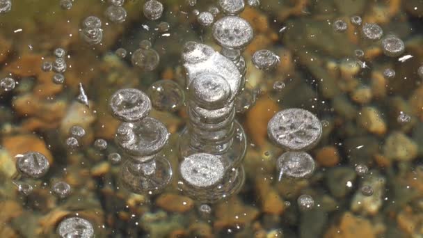 Luftblasen Gefangen Eisdecke Blasen Werden Auf Dem Weg Zur Oberfläche — Stockvideo