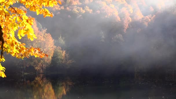 Mist Calm Lake Surface Stationary Air Herfst Kleurrijke Gemengde Kleuren — Stockvideo