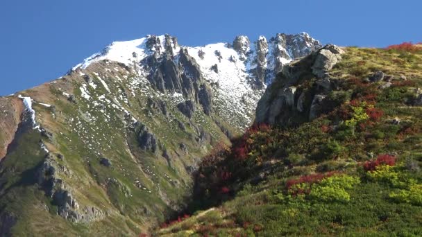 Primeira Neve Ano Topo Montanha Pássaros Sobrevoam Vales Paisagem Monte — Vídeo de Stock