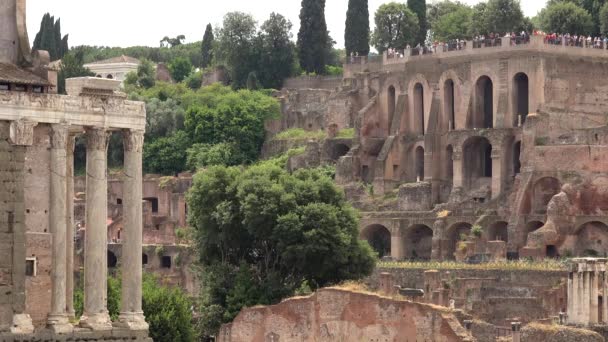 観光客はローマイタリアの歴史的観光スポットの古代遺跡を歩くツアー ローマのフォーラムは いくつかの重要な政府の建物の廃墟に囲まれた広場です 日常生活の中心 凱旋式や選挙会場の公共の場所 — ストック動画