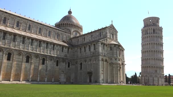 Toeristen Wandelen Rond Kathedraal Van Pisa Scheve Toren Van Pisa — Stockvideo