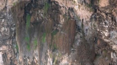 Rocky Wall Horizon Mağara Katmanları. Yeraltı profilleri kayalık zeminde. Tür ufkunun altındaki katman paralel kabuk fiziksel özellikleri belirgin özellikleri tanımladı. Kaya çökme mağarası çöküşü anakara kıtasının çöküşü. 
