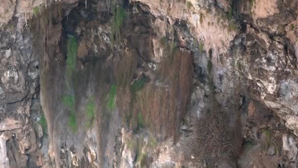 岩場の床の地下プロファイル タイプの地平線の下の層の平行地殻物理的特性定義された明白な特徴テクスチャよく石の堆積洞窟崩壊秋の減少本土大陸 — ストック動画