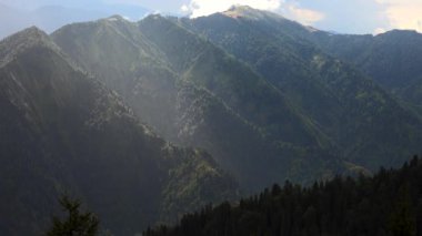 Gizemli dağlardaki ormandaki muhteşem güneş ışığı. Orman ağaçların hakim olduğu geniş bir alandır. Baskın karasal ekosistem. Boreal ılıman tropikal ormanlar. Yeşil bitki örtüsü. Ağaçlık orman ormanı. Boreal ılıman.