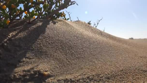 Sandstrom Winderosion Bewegt Sandkörner Geomorphologische Kraft Semi Aride Degradierung Wüste — Stockvideo