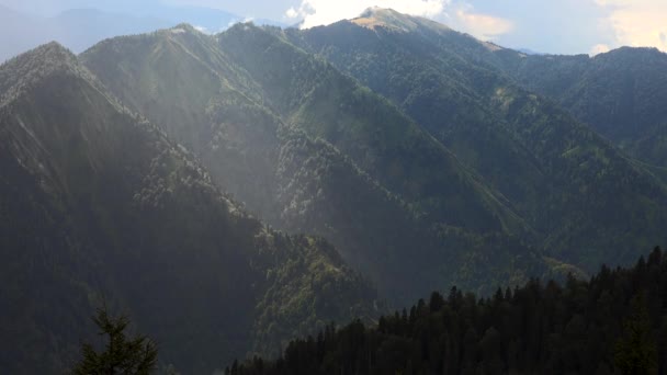 Luz Solar Espetacular Floresta Nas Montanhas Místicas Uma Floresta Uma — Vídeo de Stock