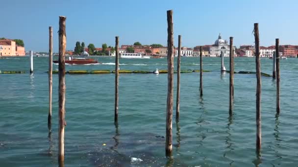 Estacas Mar Venecia Italia Bastones Madera Delgados Largos Gran Canal — Vídeos de Stock