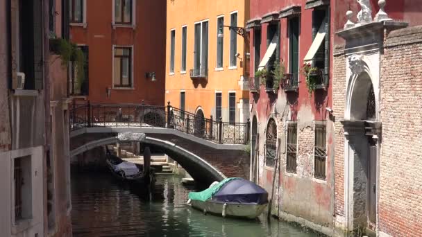 ヴェネツィアの静かな通りイタリア 家の間の水路洪水都市の洪水上昇と落下水位道路は水で覆われています 基礎を構築するために杭の上に配置されたプレートイタリアの石灰岩に残りました 地盤沈下 徐々に — ストック動画