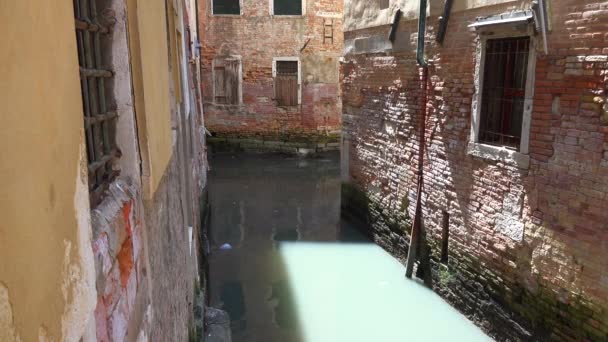 Vattenfyllda Gator Venedig Italien Vattenkanaler Mellan Husen Översvämningar Stadens Översvämning — Stockvideo