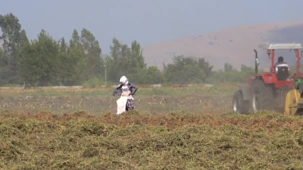 Trabajadora Que Trabaja Campo Bajo Condiciones Climáticas Extremas Mujer Trabaja — Vídeos de Stock