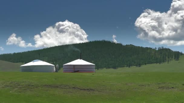 Tentes Mongoles Dans Forêt Les Prairies Vertes Une Yourte Traditionnelle — Video