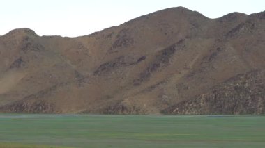 Ağaçsız Tepelerin Yanındaki Yeşil Düzlük. Kıta iklimleri genellikle sıcak ve soğuk yaz mevsimleri geçirir. Alp dağı iklimi yüksek topoğrafya bölgeleridir. Tundra flora biyolomu yere yakın cüce çalılarla karakterize edilir. Dağlık Dağ