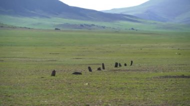 Orta Asya basamaklarında Menhirs Balbaloncukları heykeli. Mezar taşları cenazesi ya da hatıra amacıyla. Megalith Stele Moğolistan bozkır Moğolları Moğollar Sibirya Rusya Orta Asya tarihi antika tarihi tarihi tarihi kayalar