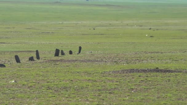 在中亚斯泰普的门希尔神像 Statue Menhirs Balbals Central Asian Stepp Grave Balbal Balbals — 图库视频影像