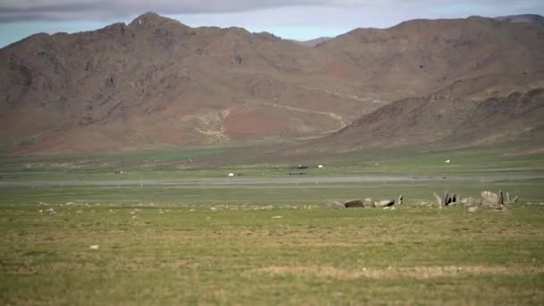 Deer Stones Ancient Megaliths Carved Symbols Name Comes Carved Depictions — Stock Video