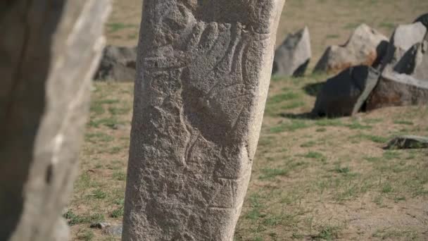 상징으로 메가라 일석이다 이름은 사슴에 그들의 묘사에서 Kurgan Stelae Kurgans — 비디오