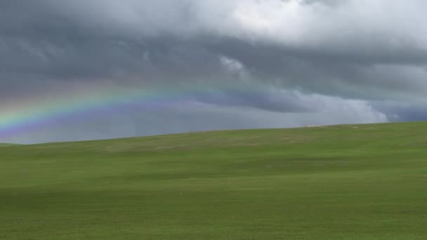 彩虹是一种由反射引起的气象现象 五彩斑斓的彩色彩色着色着色明亮而明亮的明亮而华丽的自然事件美丽的眼睛太阳光大陆性气候气象学 — 图库视频影像