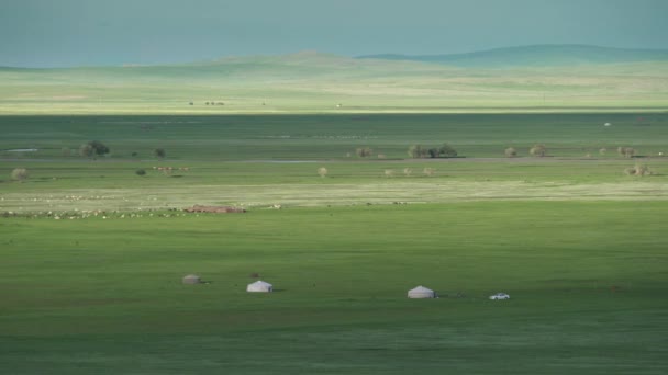 Vast Meadows Mongolia Characteristic Continental Terrestrial Climate Prairie Moorland Lowland — Stock Video