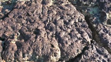 Katı hale getirilmiş Lava Igneous Kayası. Bazalt süngerimsi yapı. Gözenekli ve kırık taşlar. Donmuş gibber reg jeoloji regülatörleri..