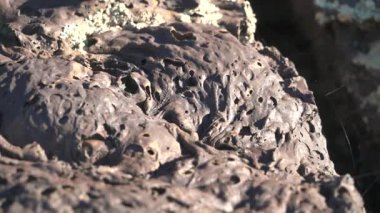 Katı hale getirilmiş Lava Igneous Kayası. Bazalt süngerimsi yapı. Gözenekli ve kırık taşlar. Donmuş gibber reg jeoloji regülatörleri..